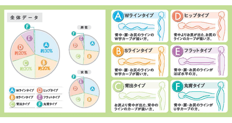 オーダーメイド枕　大阪　体型別分布図