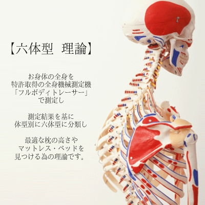 オーダーメイド枕の大阪　睡眠改善研究室　六体型　理論
