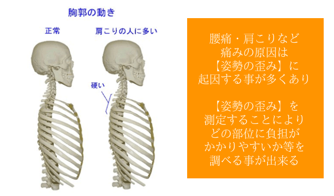 オーダーメイド枕の第一　機械測定　大阪　睡眠改善研究室では【姿勢の歪み】も測定